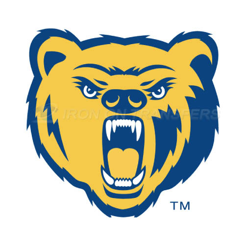 Northern Colorado Bears Logo T-shirts Iron On Transfers N5653